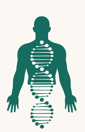 DNA and Human Silhouette Icon